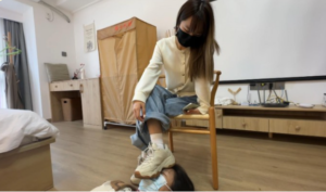 【小鲨鱼殿下】回归新作：让女班长让我的狗-97LZTD-35352