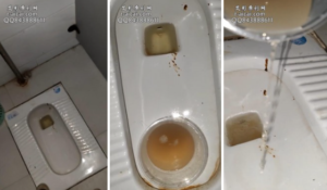 【00后校园原创】旭旭女s在厕所公开模拟全程语言羞辱调教喂面汤-97LZTD-35404